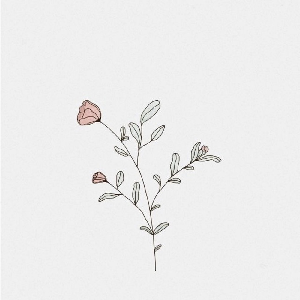 𝘩𝘦𝘺 - Picture 2 of 5